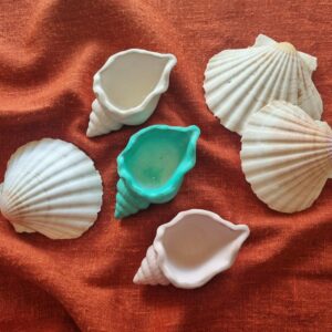 pot coquillage